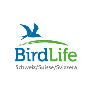 BirdLife